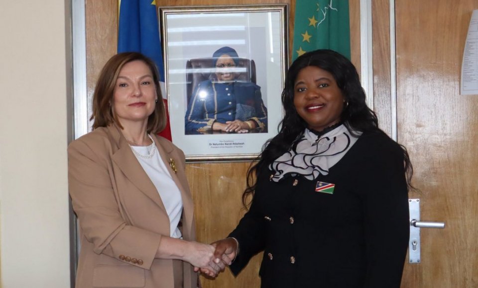 Lietuvos ir Namibijos politiniame dialoge dėmesys praktiniam bendradarbiavimui